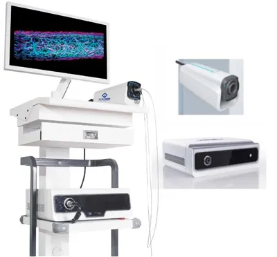 다중 모드 내시경 영상 시스템